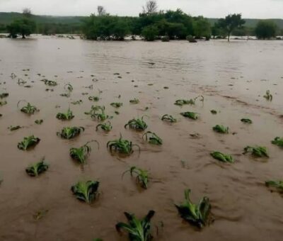 CS Linturi Says No Compensation For Crops Destroyed By Floods